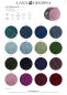 Preview: AM Alpaca Farbkarte 2025/1